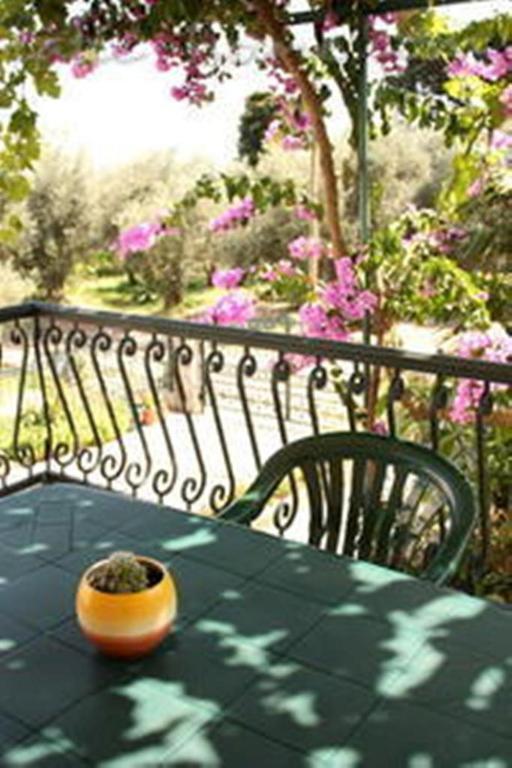 Apartments & Rooms M Petrovac Luaran gambar